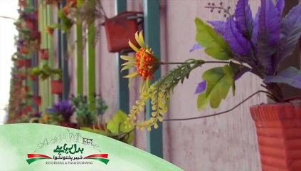 Local Govt Intro Khyber Pakhtunkhwa