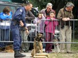 journées portes ouvertes SPA de Brignais