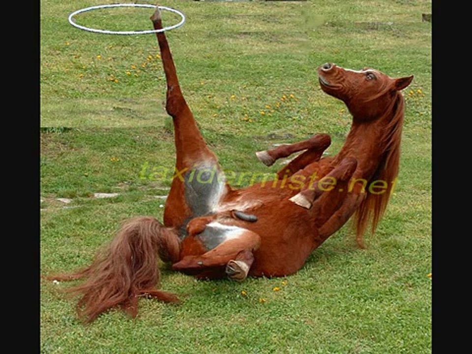 J'ai la quequette qui colle