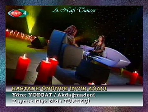 Emel TAŞÇIOĞLU *Hastane Önünde İncir Ağacı* (2)