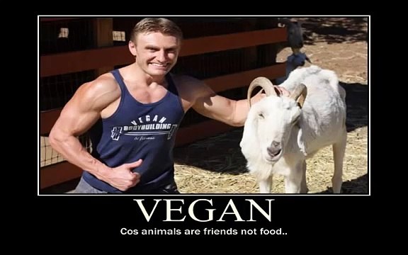 Bodybuilding without steroids: How long does it take to muscle up?