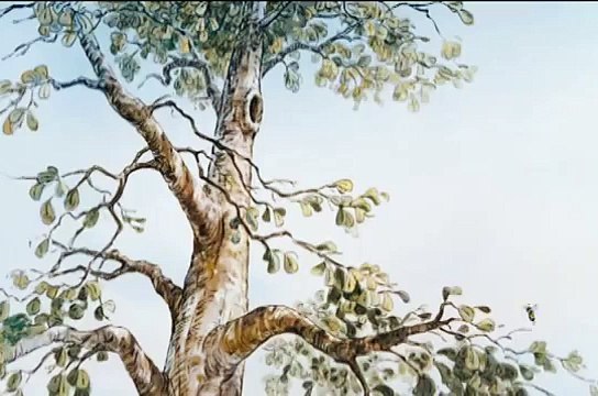 As Pequenas Aventuras de Winnie the Pooh_ Suba Numa Árvore