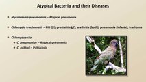 Antibiotics for Atypical Infections (Antibiotics - Lecture 7)