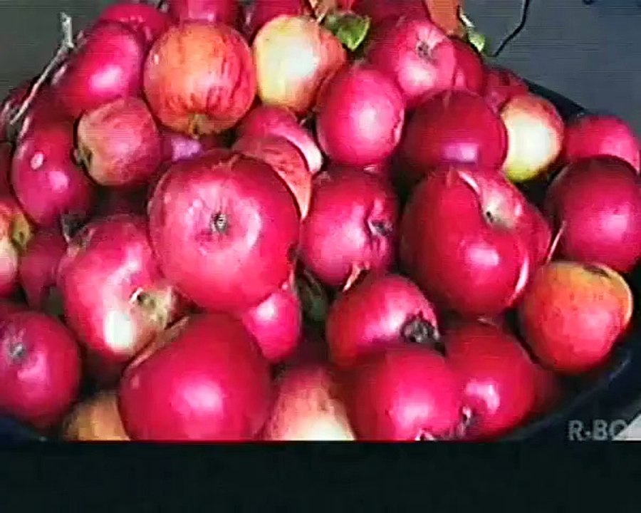 Teknik Pengobatan Alami Ala Israel | Bahan Alami Untuk Mengobati Radang Amandel Tanpa Operasi