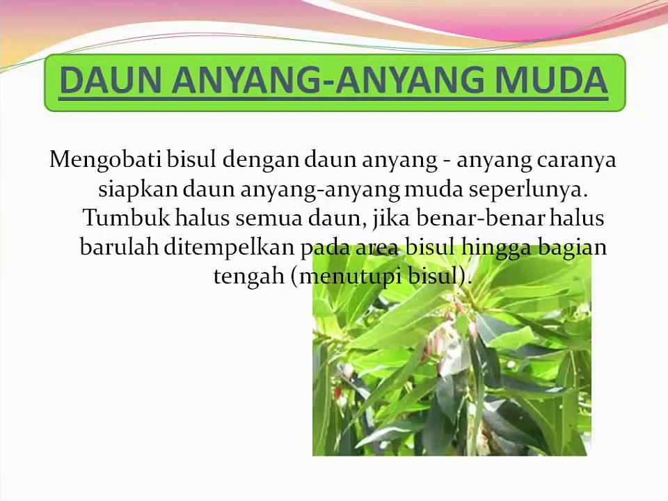 Teknik Pengobatan Alami Ala Israel | Cara Mengobati Bisul Dengan Cara Alami Cepat Sembuh