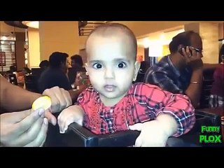 amazing Babies Eating Lemons for First Time Compilation 2013 HD Animal Funny Video 2013