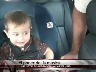 amazing Baby Bob Marley Funny Video