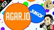 Let's Play AGAR.IO | Feed The Need Agario (iOS, Android,Pc)