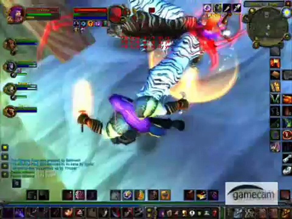 WoW (Invisiblex) 49 lvl Night Elf Rogue Twink pvp (1)