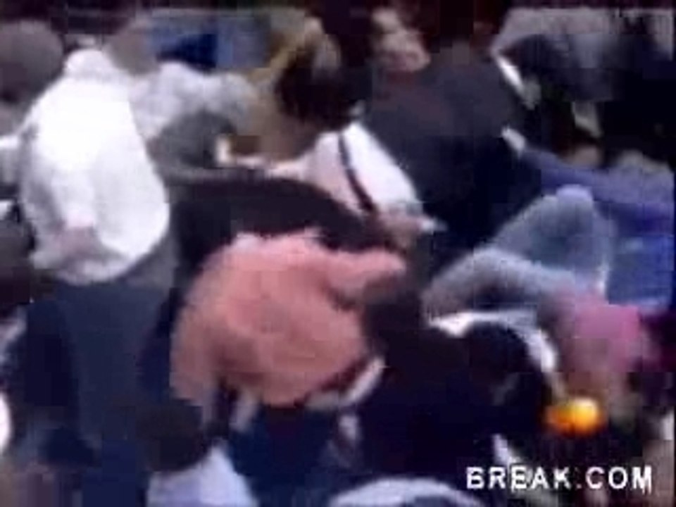 Bull fan attack