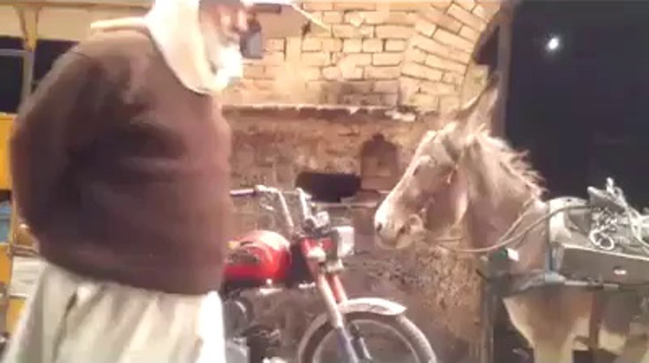 new pani wala dance
