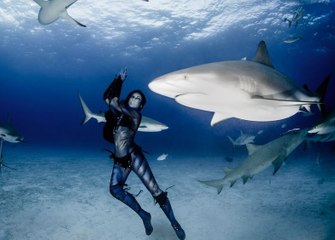 Así es el arte de la mujer que baila entre tiburones como símbolo de protesta
