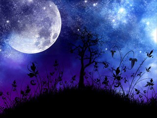 Ev'ry Day-Freddy Martin Orchestra