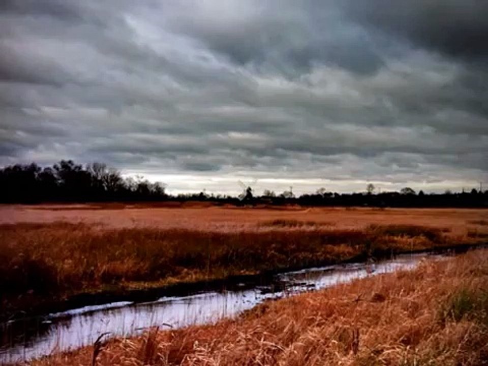 VAUGHAN WILLIAMS: In the Fen Country (Albion Records)