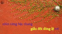 [Karaoke] Nấc Thang Tình Yêu - Lâm Chí Khanh