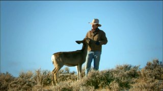 Wild Deer Bonds With Human | Nature on PBS