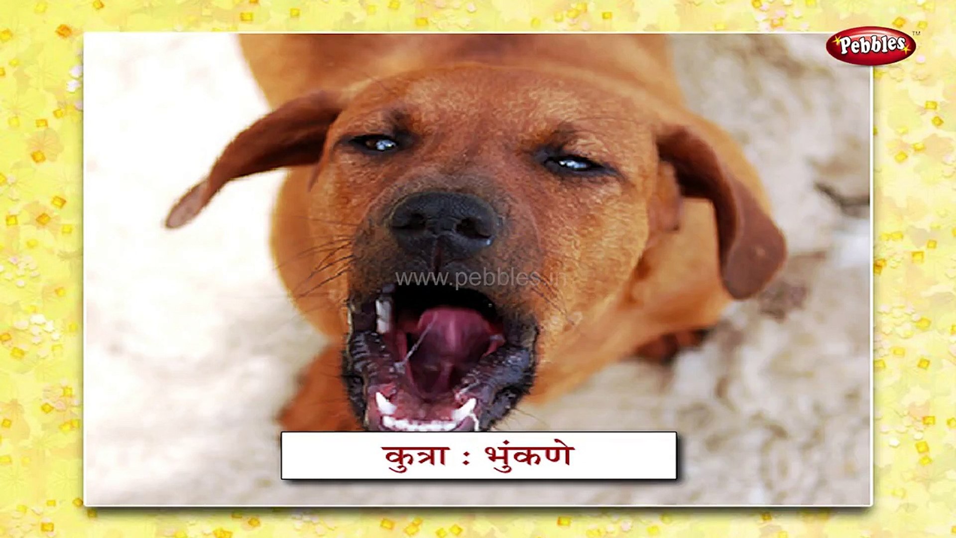 Animal Sounds In Marathi | Learn Marathi For Kids | Marathi Grammar |  Marathi For Beginners - video Dailymotion