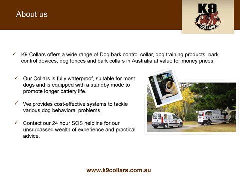 Buy the Most Effective Dog Barking Collars