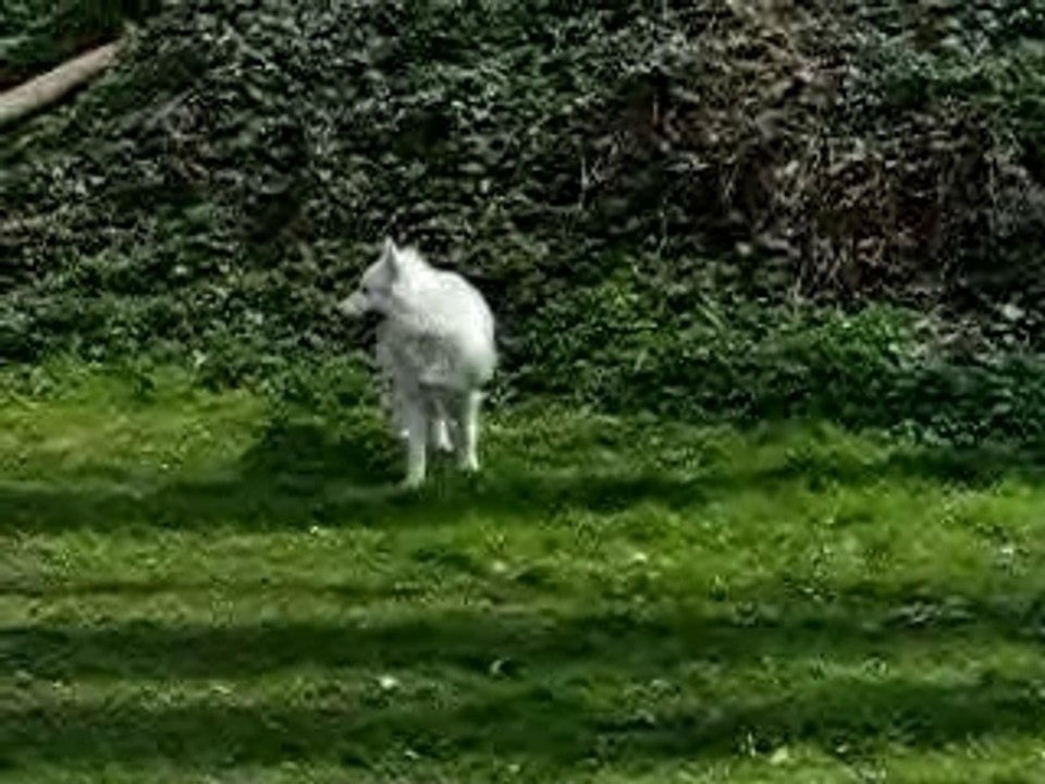 Sam au jardin 3