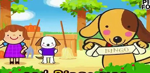 Bingo | Best Kids Songs | PINKFONG Songs for Children