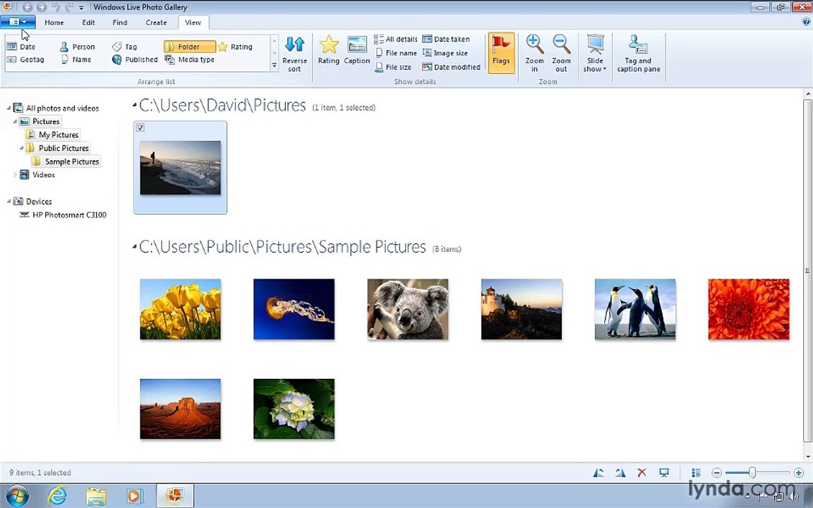 Windows 7 photogal