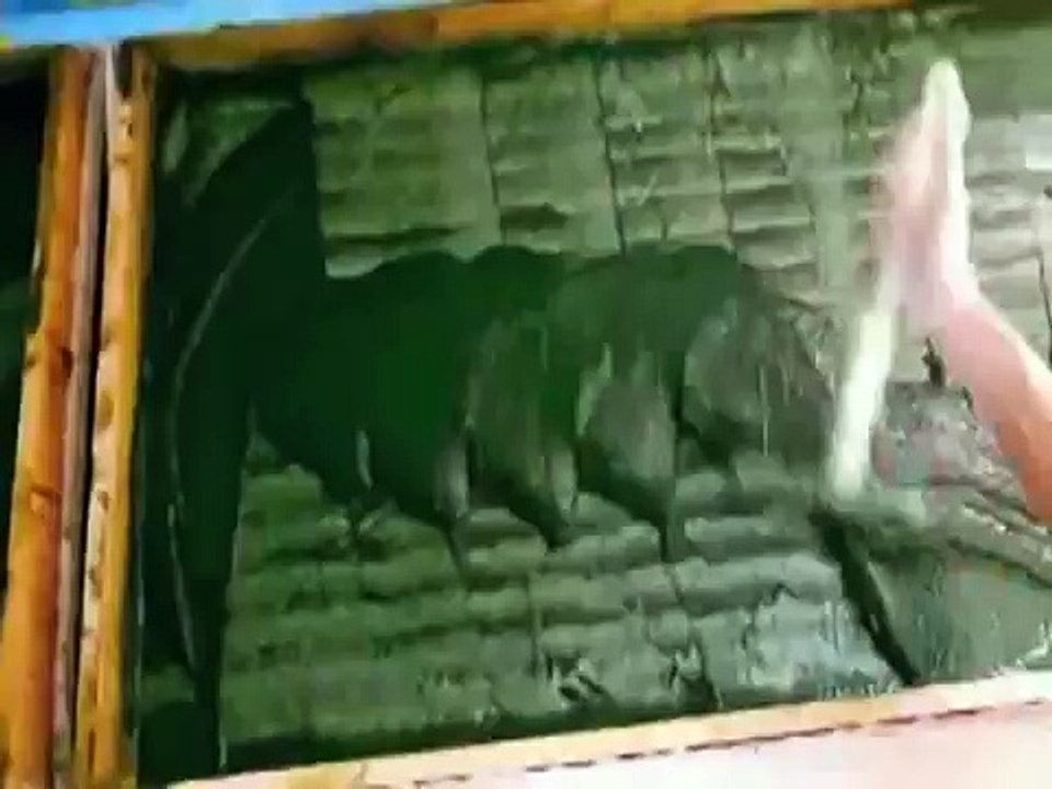 Spiruline Vitalgue Marrakech, le film.mpg