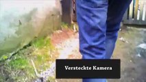 Deutsches Tierschutzbüro rettet Pavian Willy