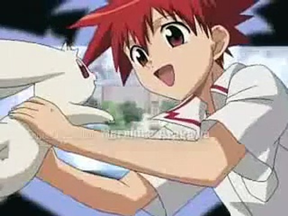 DN angel opening (english)