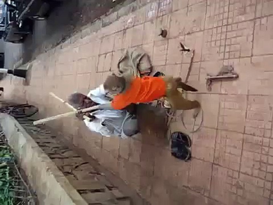 Wild animals   Funny animals attacking people Wild animals caught on camera monkey attacks people