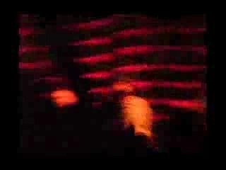 Tinariwen & Robert Plant by Jetel !