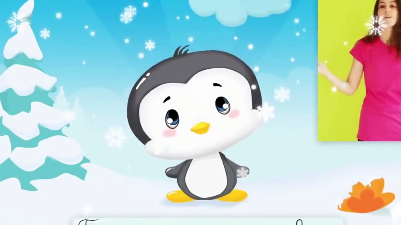 Comptinette du pingouin   comptine à gestes