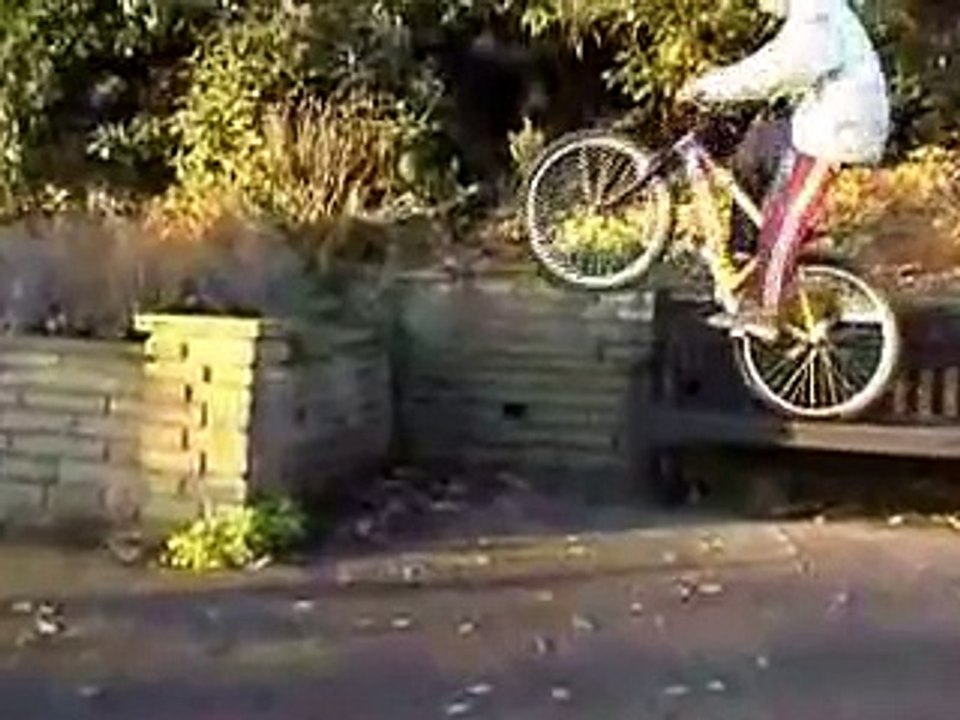 videos para morirse de risa   videos chistosos videos graciosos videos divertidos