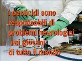 PESTICIDI, AGRICOLTURA MODERNA INQUINA TUTTA LA CATENA ALIMENTARE