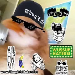 POLLOS SWAG!! Thug life Yeah nigga