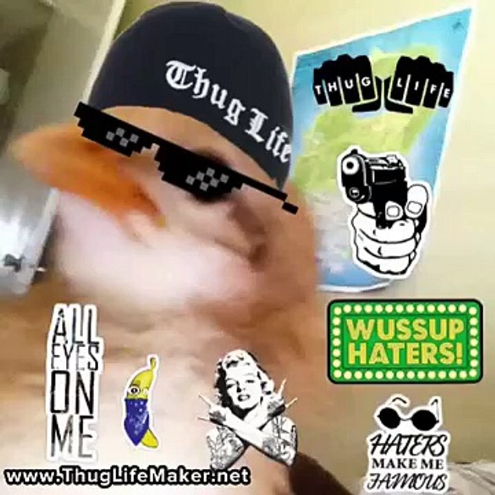 POLLOS SWAG!! Thug life Yeah nigga