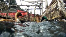 Swimming and Diving Ducks - GoPro Hero HD Cam