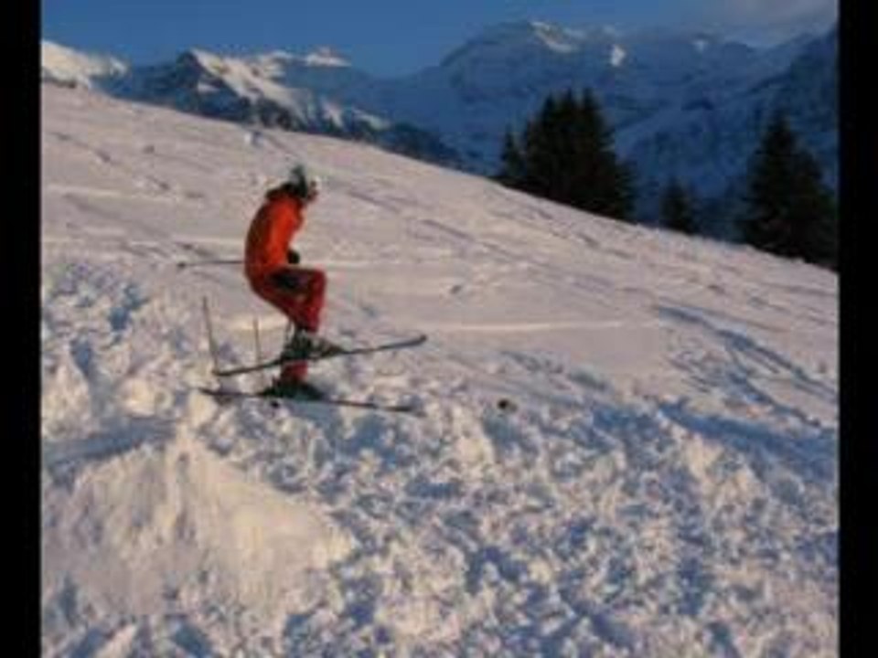 ski dirth