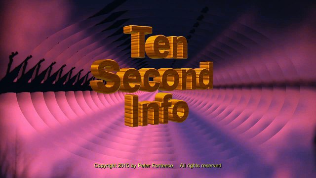 Malaysian Airlines MH17 - Ten Second Info