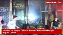İstanbul'da Yangın Dehşeti! Köpek Oksijen Maskesiyle Hayata Döndü