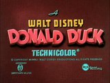 Disney Shorts Donald Duck   Donald s Camera SD
