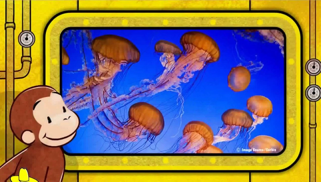 Curious George Full Episode UnderSea Animals Educational Cartoon Game [HD]