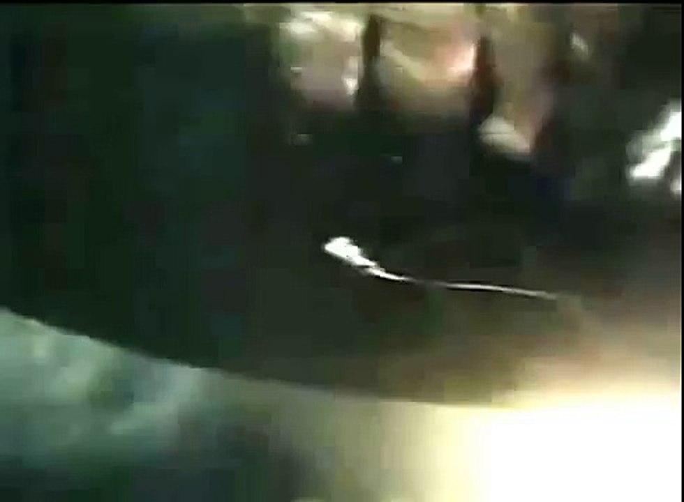 rare vidéo monstre des abysses "mégalodon" dans les fosses mariannes