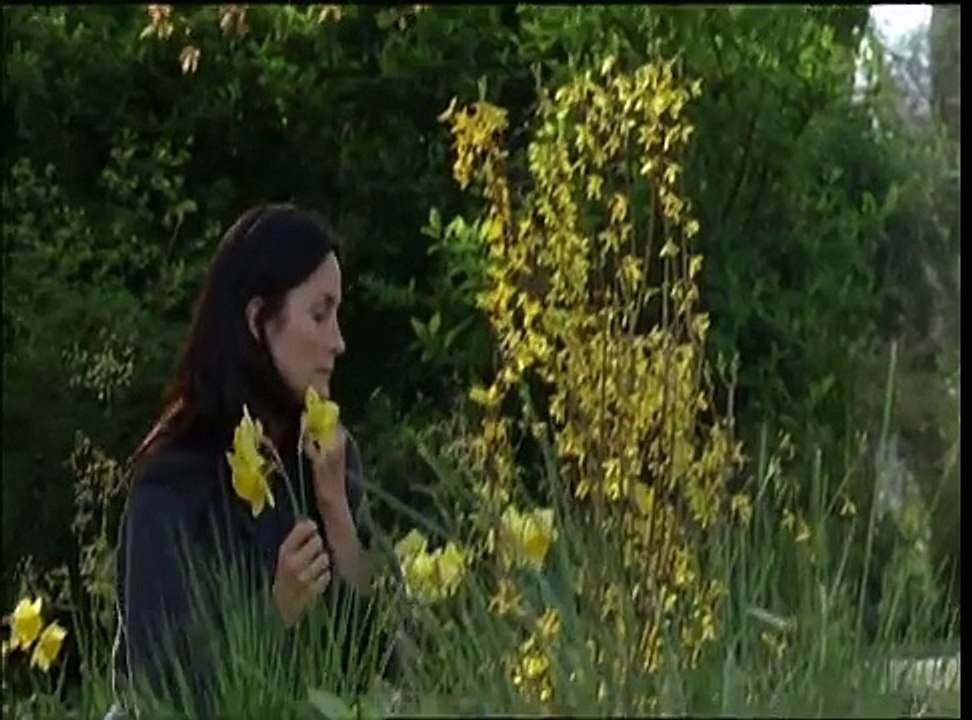 Normal Trailer