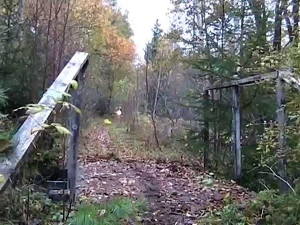 Honda XR 650R on a horsetrack