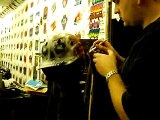 Airbrush Joe