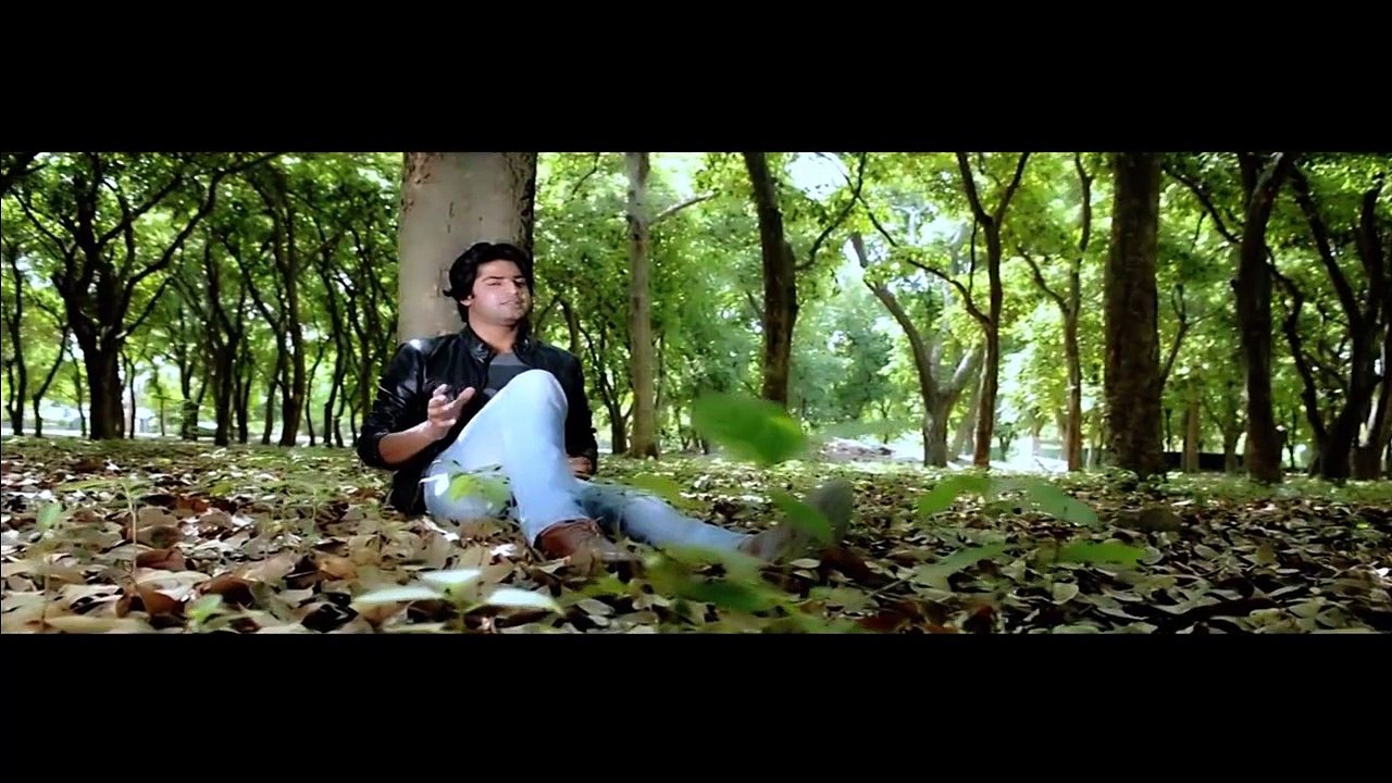 Waleed Hassan Sun Zara Song  Official HD Video