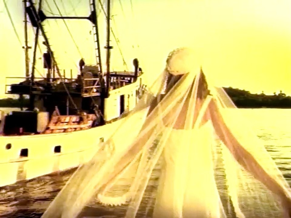 Maná - En El Muelle De San Blás (Video)