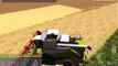 Traktor Zetor Simulátor - Oves