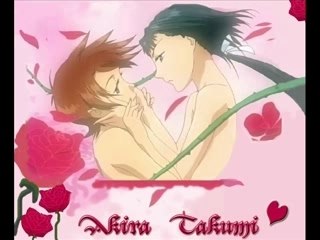 Les plus beau couples de manga