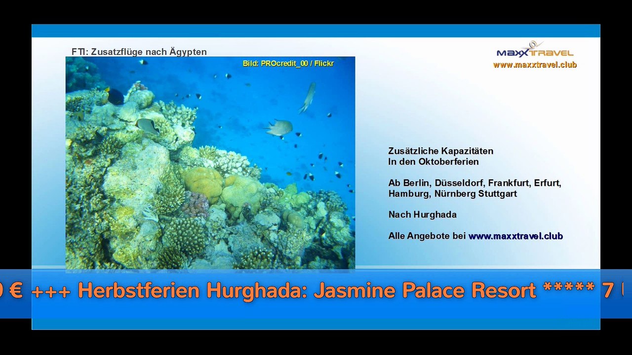 Irlands Flipper und andere Reisenews